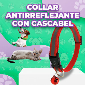 Collare Riflettente per Animali Domestici con Campanello, Regolabile 19-32 cm, Larghezza 1 cm - Product Image 3