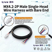 Kabel Harness Khusus MX4.2 Pitch 2P Male Housing UL2464 22AWG 4 Core dengan Ujung Tanpa Isolasi