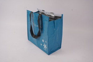 Vente en gros de sacs isothermes jetables pour épicerie frais de transport sac isotherme non tissé pour repas - Product Image 4