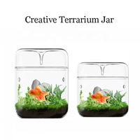 Wadah Kaca Transparan Berbagai Ukuran Dengan Tutup, Vas Kaca Bernapas, Terarium Meja Kreatif Dengan Fungsi Pengumpul Embun