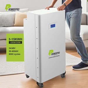 Nuevo PREMIERPRO PRWF80 24V 48V 200-300Ah 10KWh para paquete de batería Sistema de almacenamiento de energía en el hogar Precio a granel de energía solar - Product Image 1
