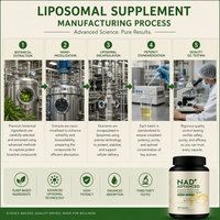 Complément Énergétique Cellulaire pour Adultes Tout-en-un : Capsules Liposomales NAD+ Quercétine Phytosome – 120 Capsules par Flacon