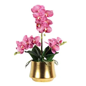 북유럽 스타일 인공 식물 난초 분재 홈 웨딩 장식 진짜 터치 인공 Phalaenopsis 난초 컷 꽃 라텍스