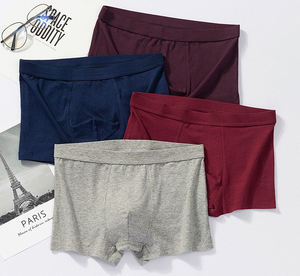 Sous-vêtements de sport pour hommes en <span class=keywords><strong>coton</strong></span> avec logo imprimé personnalisé, sous-vêtements de sport tendance, grande taille, <span class=keywords><strong>short</strong></span> ample pour hommes - Product Image 3