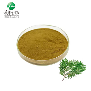 Hunan Huakang tanaman alami pertumbuhan rambut bahan aktif bubuk ekstrak daun <span class=keywords><strong>Platycladus</strong></span> orienalis - Product Image 2