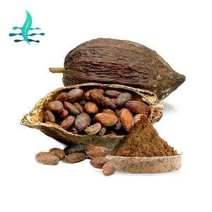 Hot Selling natürlicher Kakao extrakt Kakaos amen extrakt