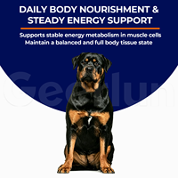 Comprimés nutritionnels pour chiens fabriqués en usine OEM, renforcent le corps, équilibrent le métabolisme, vitalité musculaire canine, comprimés à mâcher