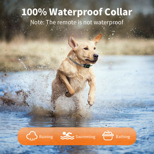 3 eğitim modu ile yenilikçi su geçirmez şarj edilebilir köpek şok e-yaka 2600FT uzaktan köpek eğitim tasması Tize - Product Image 5