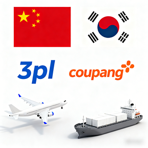 Логистические услуги из Китая в Корею: экспедитор Coupang 3PL, быстрая доставка, комплексное логистическое обслуживание в Корее - Product Image 1