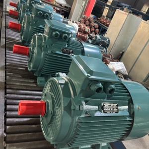 Motor Trifásico de Alta Eficiencia de 0.75Kw-315Kw 380v - Product Image 6