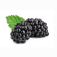 Bevroren Fruit Voor Bevroren Zwarte Vruchten Van Bevroren Moerbei Geheel