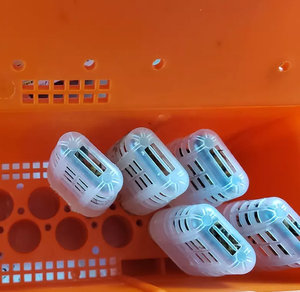 Jaulas de Cría para Abejas Reinas, Caja de Transporte para Abejas Reinas, Jaula de Transporte para Apicultura - Product Image 4