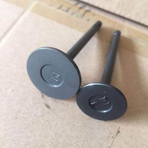 1C010-1311-<span class=keywords><strong>2</strong></span> 1C010-1312-<span class=keywords><strong>3</strong></span> fabrika motor supabı ku35 V3300 16V için 35*7*100 EX 30*7*100 - Product Image 5