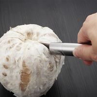 Roestvrijstalen grapefruitschiller met antiaanbaklaag, gekartelde rand, comfortabele grip, handmatig fruit- en groentereinigingsgereedschap voor thuiskeuken