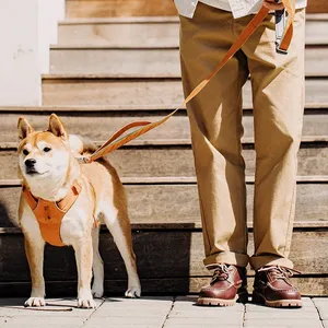 Scarpe Uomo di Tendenza Maden, Stile Nautico Retrò Britannico, con 3 Occhielli, Basse, Classiche da Lavoro, Invernali, RTS - Product Image 5