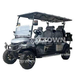 Voiturette de golf électrique 2 places couleur personnalisée avec frein à disque et amortisseur pour transport de marchandises - Product Image 1