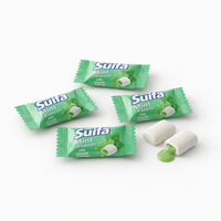 Chewing-gum sans sucre, sans aspartame, au xylitol, sans gluten, menthe fraîche extra, pour une haleine fraîche, en sachet/bouteille, marque privée