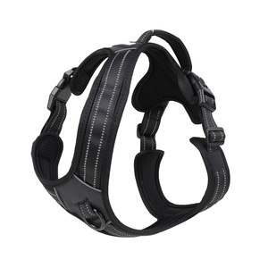 कस्टम गंध आसान नियंत्रण पिल्ला चलना प्रशिक्षण ग्रेहाउंड हार्वे बचाव सबूत पालतू पट्टा नए डिजाइन बकल उपलब्ध ग्रेहाउंड - Product Image 2