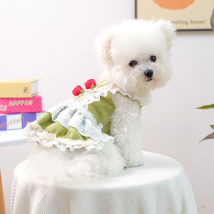 Nueva ropa de otoño/invierno para perros pequeños y cachorros, vestidos cálidos y cómodos de encaje verde rosa. - Product Image 2