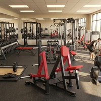 Machine à ramer commerciale à charge libre, pour rame assise et rame basse, équipement d'entraînement dorsal pour salle de sport et fitness, avec coussin de poitrine réglable