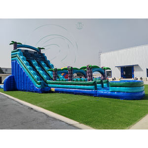 Tobogán Inflable Gigante para Parque Acuático Comercial, Tobogán Doble de PVC Iridiscente con Piscina para Fiestas en el Patio Trasero - Product Image 1