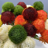 Zachte aanraking Zachte PVC Kunstmatige Groene Dianthus Pompon Ballen Kunstbloemen voor Huis Winkel Showroom Arrangement Presentatie