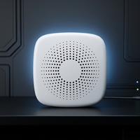 Pemutar Audio Terapi Suara 2026 30 Lagu Menenangkan & Lampu Tidur Hadiah Baterai Isi Ulang 500mAh untuk Rumah Kantor Perjalanan