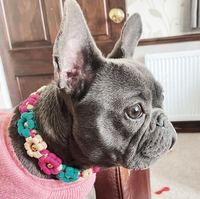 Collier pour chien personnalisé fait main, fleur douce, puissance des fleurs, collier pour chien personnalisé, collier en paracorde tressé, breloque perlée, collier pour animaux de compagnie