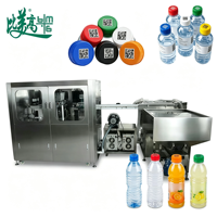 Machine de marquage laser UV unique GS1 pour codes numériques sur bouchons de bouteilles, pour la traçabilité des lignes de production de mise en bouteille d'eau en série