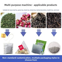 Nylon Piramide Thee Zakjes Verpakkingsmachine met Spirale Weegschaal voor Fruitthee Automatische Sachet Vulling, Sluiting en Verpakkingsmachine