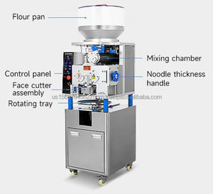 Machine à nouilles fraîches commerciale entièrement automatique avec moteur, capacité de 50 kg/h pour les restaurants, la vente au détail et les petites entreprises - Product Image 5