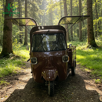 Tricycle de vente ambulante personnalisé de haute qualité pour hot-dogs et en-cas