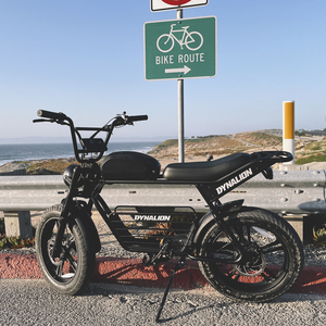 Bicicleta Eléctrica DYNALION ODM/OEM 48v para Adultos, Bicicleta de Montaña Híbrida con Llantas Gruesas - Product Image 5