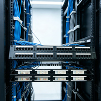 Panel Patch 48 port Rak Mount, Panel Depan Lepas, Pre-Terminated, Panel Patch 1U, Produsen Panel Patch dengan Layar