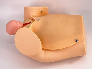 Simulateur de Mannequin de <span class=keywords><strong>Femme</strong></span> <span class=keywords><strong>Enceinte</strong></span> en PVC Avancé avec Jumeaux Poupée Bébé pour la Formation à l'Accouchement en Sciences Médicales - Product Image 6