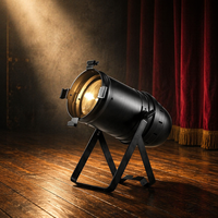 Projecteur LED Zoom COB Par 100W Par 64 IP20 Blanc Froid/Chaud DJ Z100 pour Mariages, Événements, Soirées, Concerts