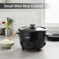 Mini cuiseur à riz électrique, petit cuiseur multifonction portable avec couvercle en verre, cuiseur à riz automatique pour usage domestique