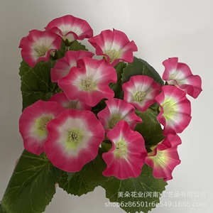 Bouquet de bégonias artificiels Meiduo Flower Industry, fleurs en plastique violet foncé, jaune, rose, fleurs en soie pour la décoration intérieure et extérieure - Product Image 4