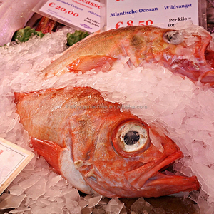 Máy Làm Đá Vảy với cá 1.5t Máy Làm Đá Vảy đông lạnh - Product Image 1