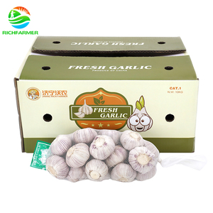 <span class=keywords><strong>Ail</strong></span> frais de bonne qualité, en bulbes, <span class=keywords><strong>non</strong></span> <span class=keywords><strong>pelé</strong></span>, prêt à cuisiner, vente en gros - Product Image 1