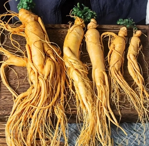 Toptan adam sağlık kırmızı <span class=keywords><strong>Ginseng</strong></span> kökenli kore kırmızı <span class=keywords><strong>Ginseng</strong></span> satılık amerikan <span class=keywords><strong>Ginseng</strong></span> dilimleri - Product Image 5