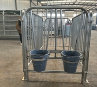 Enclos modulaire automatique en métal pour veau et box de sécurité individuel/double autoportant pour le soin des veaux et la clôture de la ferme
