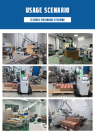 Paletizador Móvil Vertical de Alta Precisión, Bajo Mantenimiento, Diseño Compacto y Larga Vida Útil, Montado en el Suelo