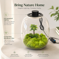 Terrarium en verre borosilicate fait main avec lumière LED intégrée pour la décoration de micro-paysages, de mousse et de palmiers 20x25cm