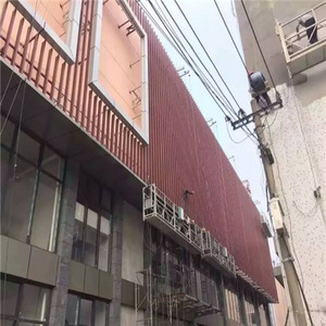 Façade de magasin de centre commercial avec panneaux en aluminium sur mesure pour l'entrée et le revêtement extérieur - Product Image 2