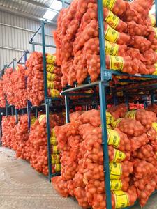 Mùa vụ mới của hành đỏ tươi và tỏi vàng thô, hành trắng thương hiệu Sinofarm, giá mỗi tấn tại Trung Quốc, từ hạt giống hành. - Product Image 3