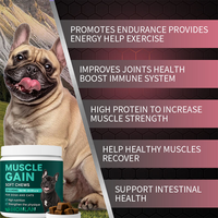 Complément alimentaire pour chiens riches en protéines pour la croissance musculaire, prise de poids, et renforcement du système immunitaire - Soft Chews