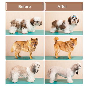 <b>Pet</b> Grooming Vacuum Cleaner With <b>Brush</b> Nozzle For Cats And Dogs Hair Removal Cleaning Tool - Product Image 4
