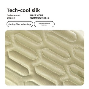 Tapis rafraîchissant en soie glacée pour animaux de compagnie, coussin d'été auto-refroidissant lavable avec gel rafraîchissant, tapis antidérapant pour cage pour chiots - Product Image 2