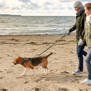 Tactical <b>Dog</b> <b>Collar</b> With Leash Adjustable For Medium <b>Large</b> Breeds Monochrome Design All Seasons Use - Product Image 3
